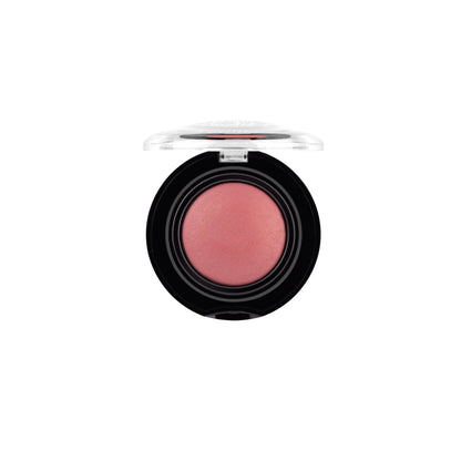 BOUNCY BLUSH